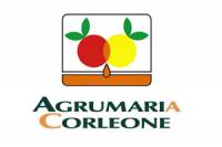 Agrumaria Corleone